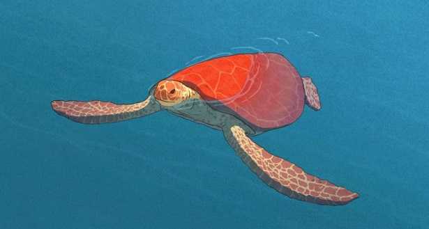 Tartaruga rossa Tartaruga rossa