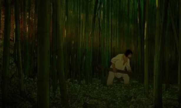 Tartaruga rossa Tartaruga rossa