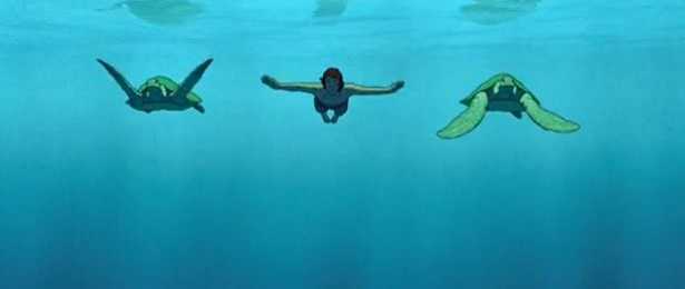 Tartaruga rossa: significato Tartaruga rossa: significato