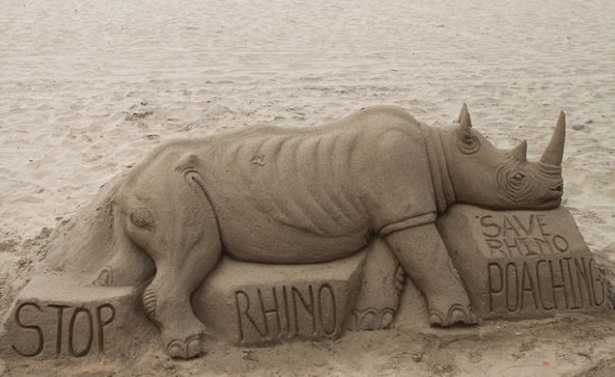 Bracconaggio: significato Bracconaggio: significato