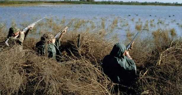 Bracconaggio Bracconaggio