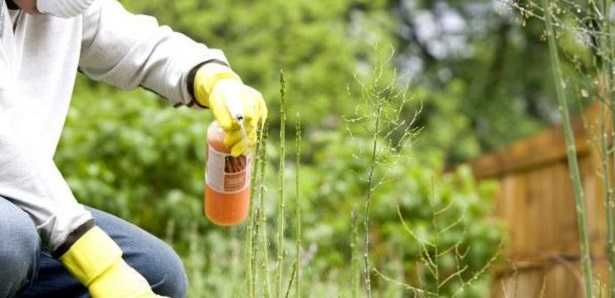 Fitofarmaci: patentino