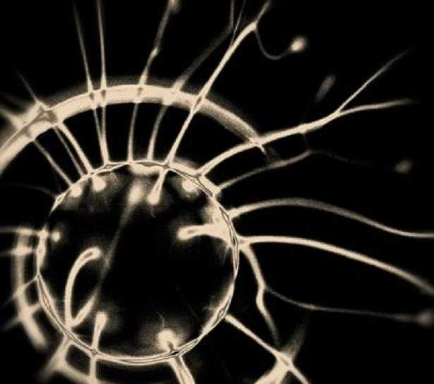 Motoneuroni: malattia e aspettativa di vita 