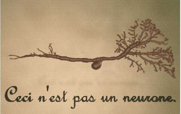 Motoneuroni: malattia