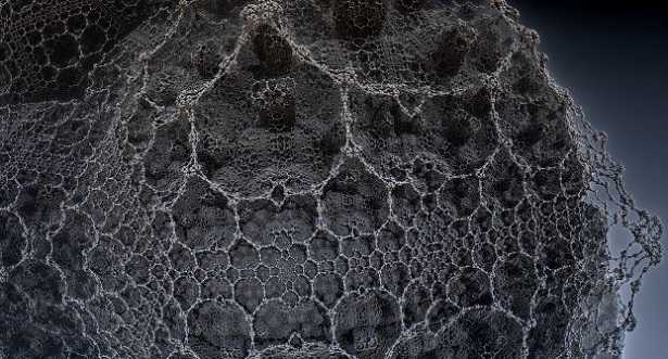 Rete neurale Rete neurale