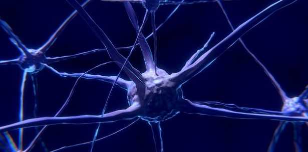 Rete neurale artificiale