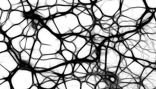 Rete neurale: vantaggi Rete neurale: vantaggi