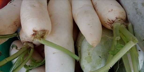 Carota bianca: come cucinarla