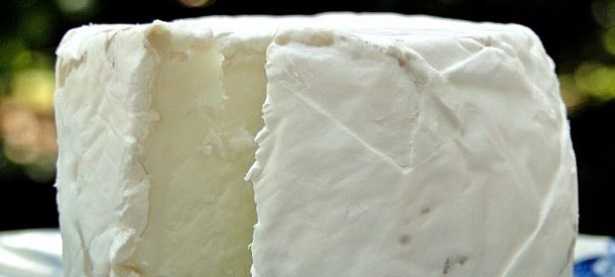 Come fare il formaggio di capra in casa