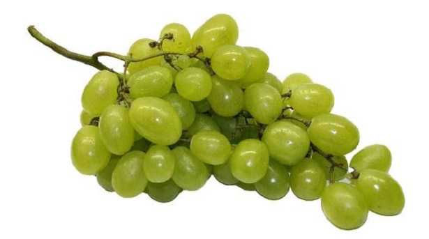 Fruttosio intolleranza