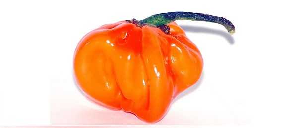 Habanero: benefici