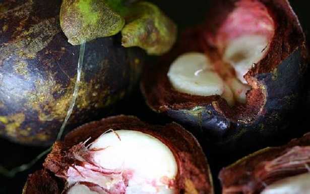 Mangostano in farmacia