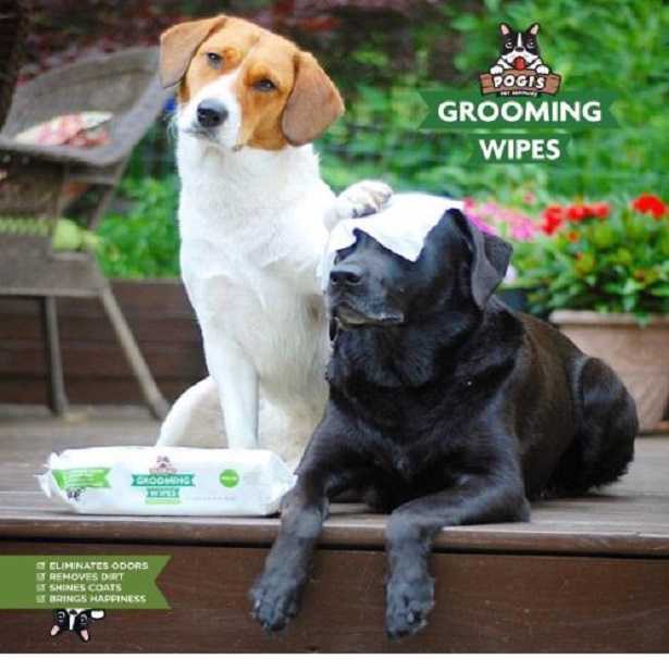 Salviettine per cani: le migliori