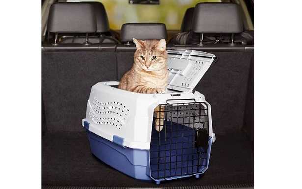Trasportino per gatto