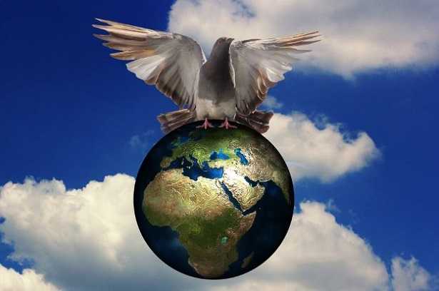 Colomba della pace Colomba della pace