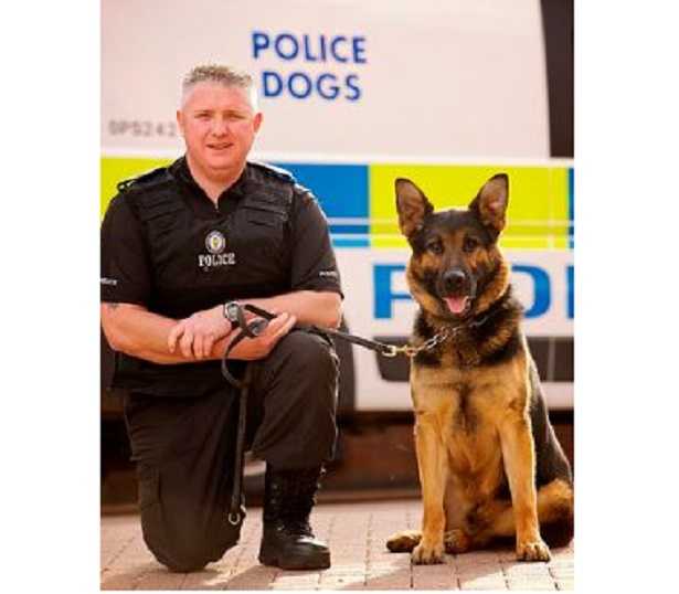 Cane poliziotto: film 