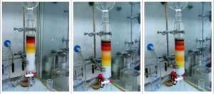 Stonylab Colonna Di Cromatografia In Vetro Borosilicato | Diametro 19mm Lunghezza 203mm Con Piastra G2 | Giunto 24/40 Per Laboratorio