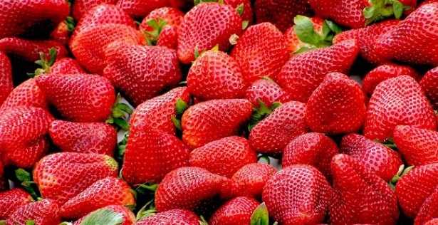 Glifosato: tossicità