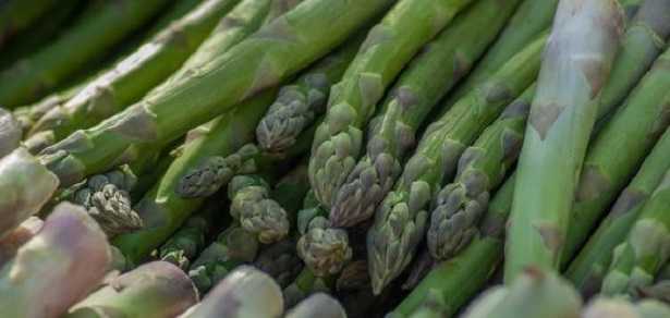 asparago
