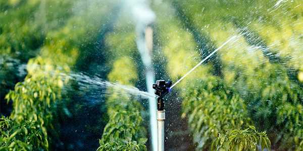 Centralina per irrigazione