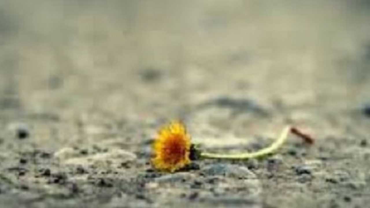 Come Superare Una Delusione Idee Green