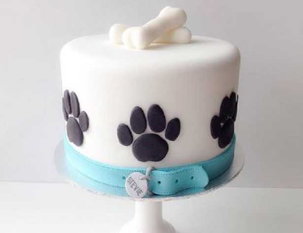 Torta per cani