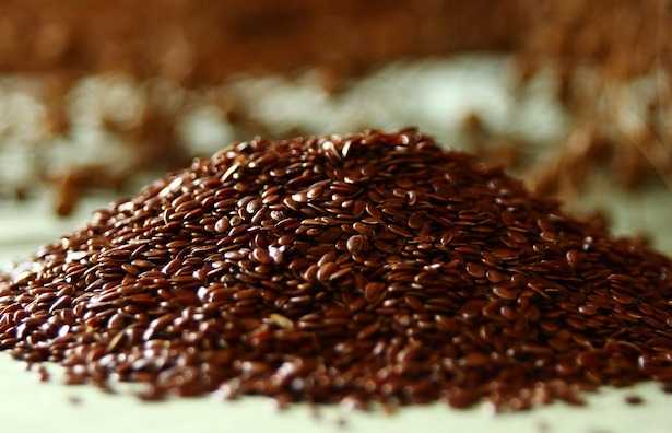 kefir di semi di lino