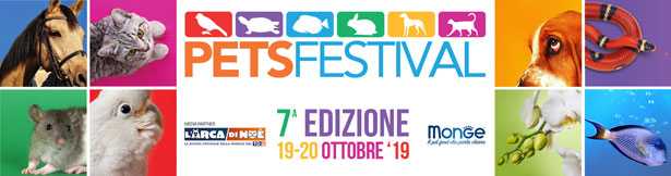 pets festival 2019