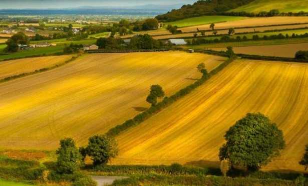 Sicurezza alimentare