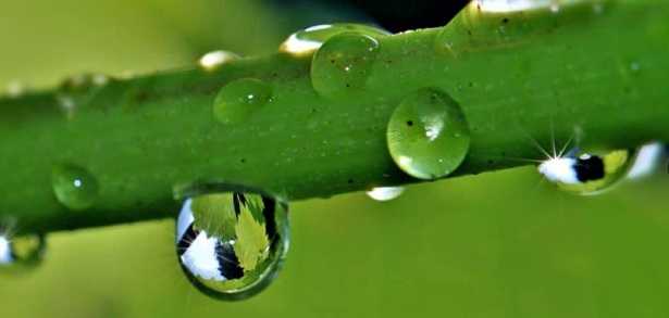 Umidificatore Umidificatore