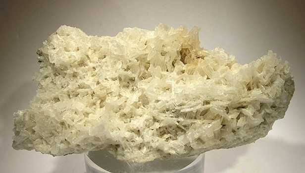 Zeolite in acquario