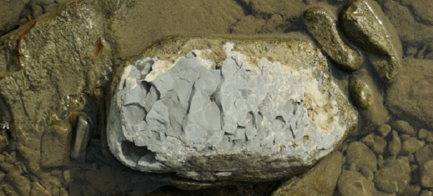 Shungite: caratteristiche