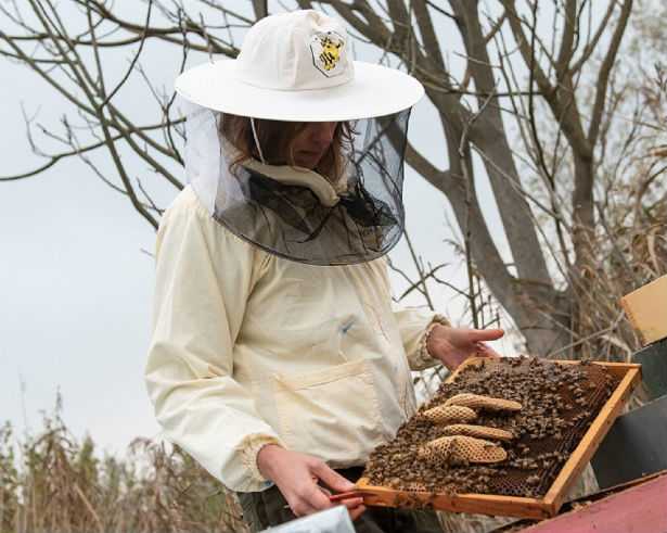 Premio Terre de Femmes