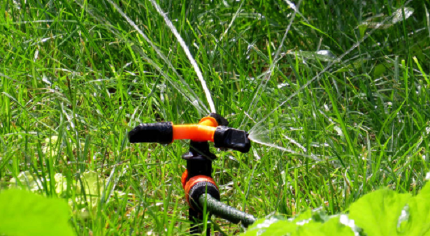 Come annaffiare le piante