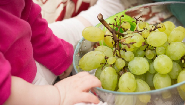 Come far mangiare la frutta ai bambini Come far mangiare la frutta ai bambini