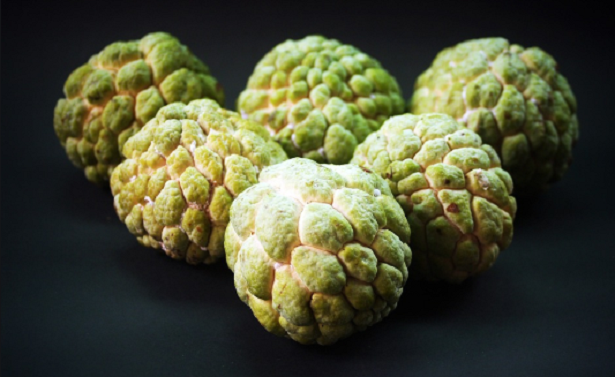 Annona cherimola e Annona squamosa Annona cherimola e Annona squamosa