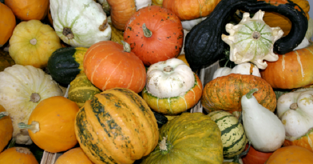 Come spiegare l’autunno ai bambini Come spiegare l’autunno ai bambini