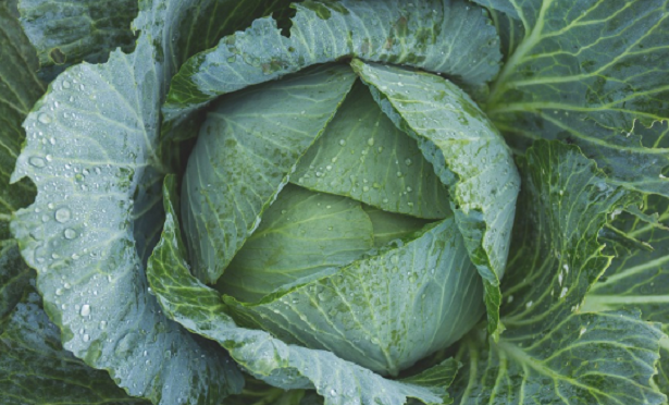 Cosa mangiare per proteggere