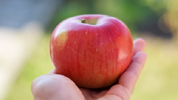Le migliori merende per la scuola