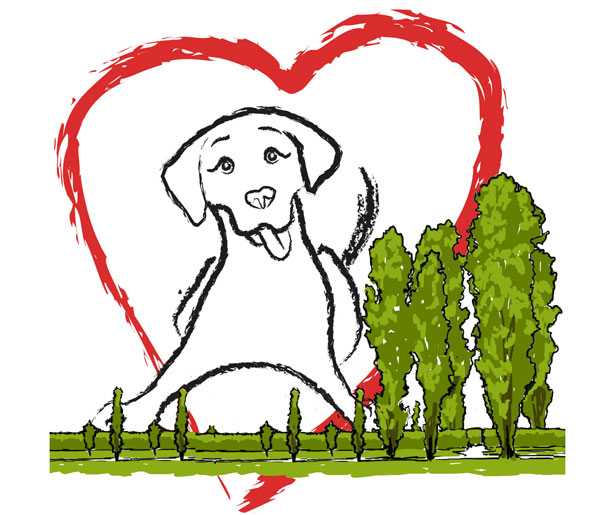 Concorso fotografico cani parco Nord di Milano