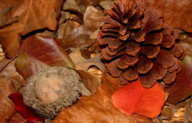 Giochi autunnali per bambini