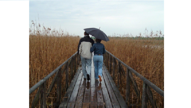 Camminare sotto la pioggia