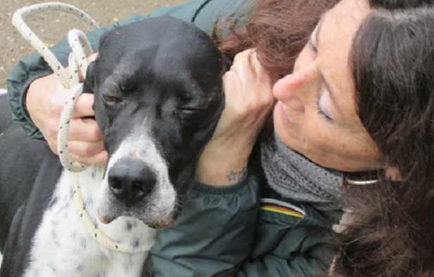 Un cane allunga la vita Un cane allunga la vita