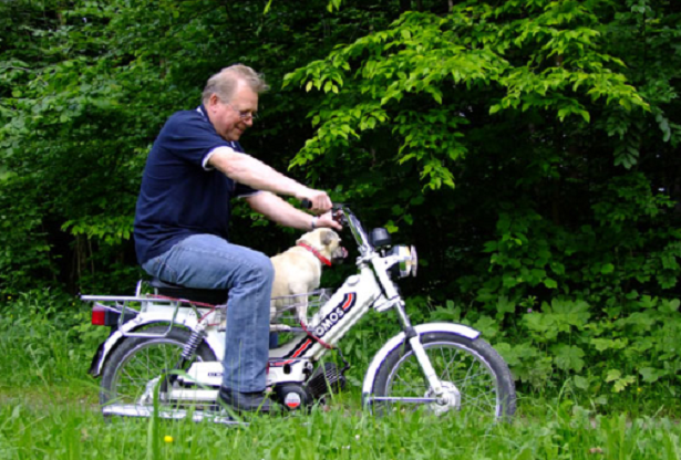 Un cane allunga la vita Un cane allunga la vita