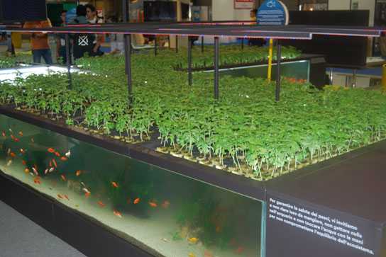 Maker Faire assorbimento biocarburi