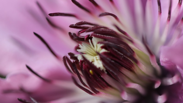 Respirare con la pancia