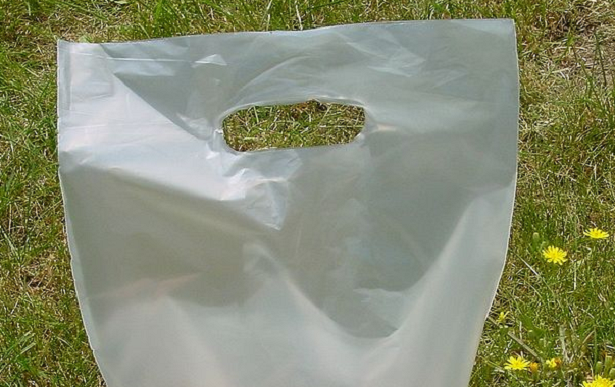 Acido polilattico PLA