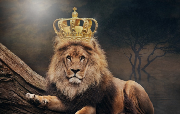 Film sull’ambiente per ragazzi