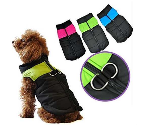 cappottino per cane piccolo