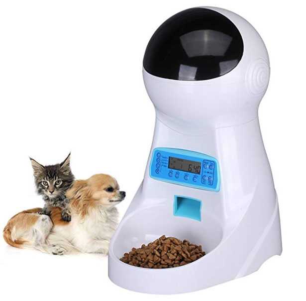 distributore cibo cani gatti